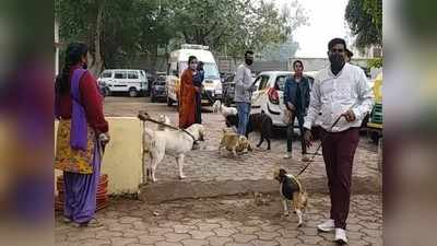 उज्जैन के एक थाने में जब विदेशी कुत्तों ने लगाई हाजिरी, तो लोग हुए हैरान