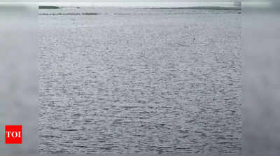 chembarambakkam lake open:மீண்டும் திறக்கப்படும் செம்பரம்பாக்கம் ஏரி... சென்னைக்கு வெள்ள அபாயம்