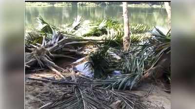 ആനക്കയം പാർക്ക് ചവിട്ടിക്കുഴച്ച് കാട്ടാനകൾ... വീഡിയോ കാണാം!