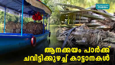 ആനക്കയം പാർക്ക് ചവിട്ടിക്കുഴച്ച് കാട്ടാനകൾ...