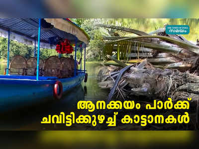 ആനക്കയം പാർക്ക് ചവിട്ടിക്കുഴച്ച് കാട്ടാനകൾ...