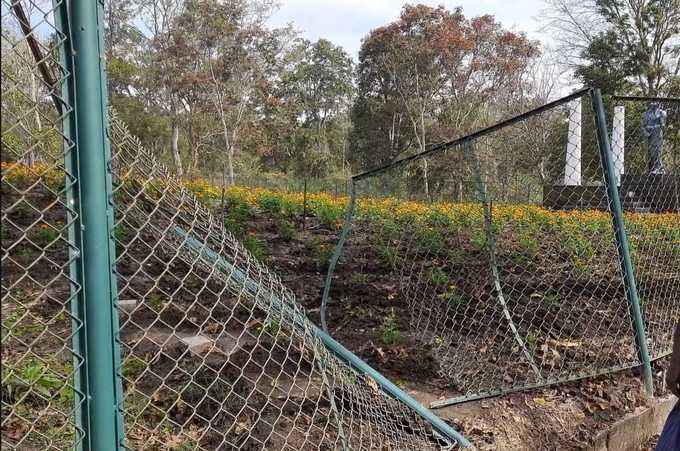 ​പഴശി പാര്‍ക്കിലും സമീപ പ്രദേശത്തും വ്യാപക നാശനഷ്ടം