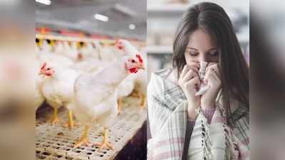 Bird Flu Symptoms कोव्हिड- १९ सह देशभरात आता बर्ड फ्लूचे संकट, जाणून घ्या लक्षणे
