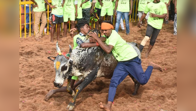 திருச்சியில் இந்த வருஷம் எங்கெல்லாம் ஜல்லிக்கட்டு?!