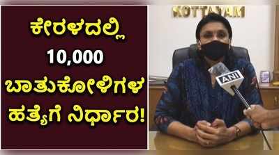 ಹಕ್ಕಿಜ್ವರ ಭೀತಿ: ಕೇರಳದಲ್ಲಿ10,000 ಬಾತುಕೋಳಿಗಳ ಹತ್ಯೆಗೆ ನಿರ್ಧಾರ!