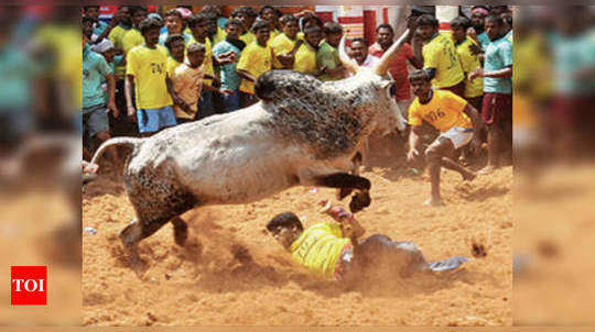 அலங்காநல்லூர் ஜல்லிக்கட்டு: வாடிவாசல் திறக்கும் முதல்வர் எடப்பாடி பழனிசாமி