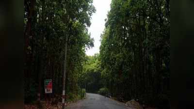 दिल्ली-देहरादून एक्सप्रेसवे के चौड़ीकरण को NBWL की हरी झंडी, कटेंगे ब्रिटिश काल के 2500 पेड़ और जंगल के हिस्से