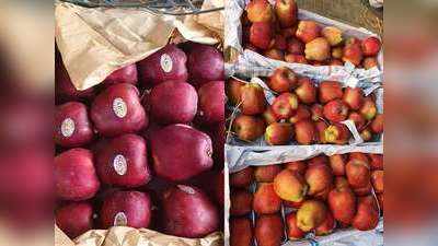 ईरानी-अफगानी सुर्ख लाल सेबों की आवक से घटे हिन्दुस्तानी सेबों के दाम!