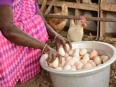 கோழி, முட்டை விலை தடாலடி சரிவு; தமிழகத்தில் ஆட்டம் காட்டும் பறவைக் காய்ச்சல்!