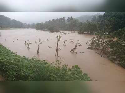 ಶೃಂಗೇರಿ: ಆರು ದಿನದಿಂದ ನಿರಂತರ ಮಳೆ, ಮೊಳಕೆಯೊಡೆದ ಭತ್ತ, ಕೊಚ್ಚಿ ಹೋದ ಕಾಫಿ