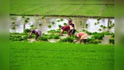 రైతులకు జగన్ సర్కార్ మరో శుభవార్త.. ఖాతాల్లో రూ.4.23 కోట్లు జమ, వారికి మాత్రమే 