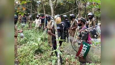 വളർത്തുനായ്ക്കളെ കൊന്നു; കടുവ ജനവാസകേന്ദ്രത്തിൽ തന്നെ, നിരീക്ഷണ ക്യാമറകൾ സ്ഥാപിച്ച് വനം വകുപ്പ്, വീഡിയോ കാണാം