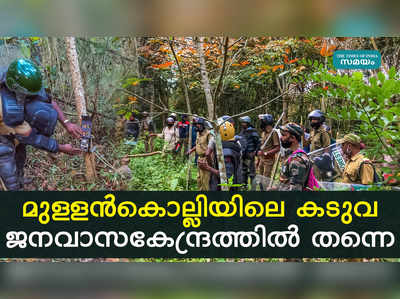 മുള്ളന്‍കൊല്ലിയിലെ കടുവ ജനവാസകേന്ദ്രത്തില്‍ തന്നെ