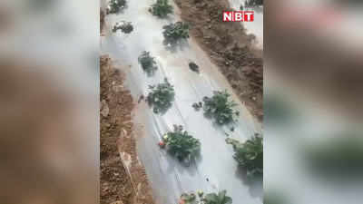 Jharkhand News : एमएस धोनी कर रहे आर्गेनिक फॉर्मिंग, उनकी खेत के स्ट्राबेरी की खूब हो रही चर्चा