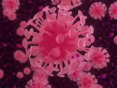करोनाः ब्रिटननंतर आता दक्षिण आफ्रिकेतील नवीन व्हायरसे तीन रुग्ण आढळले