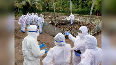 Bird flu: देहरादून में एक दिन के अंदर 165 से ज्यादा पक्षियों की मौत, राज्य में अलर्ट जारी