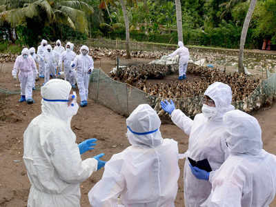 Bird flu: देहरादून में एक दिन के अंदर 165 से ज्यादा पक्षियों की मौत, राज्य में अलर्ट जारी