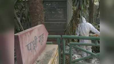 UP Bird Flu updates: शाहजहांपुर में 3 बत्तखों की मौत से हड़कंप, जांच के आदेश