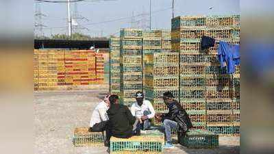 Bird Flu in Delhi : बर्ड फ्लू की पुष्टि के बाद दिल्ली में चिकन मीट की बिक्री पर रोक, मंडियों में पसरा सन्नाटा