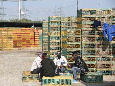 Bird Flu in Delhi : बर्ड फ्लू की पुष्टि के बाद दिल्ली में चिकन मीट की बिक्री पर रोक, मंडियों में पसरा सन्नाटा