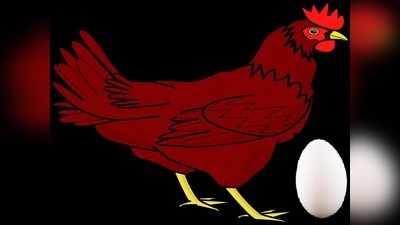 Rajasthan Bird Flu  : पोल्ट्री बिजनेस में अफवाहों का बाजार गर्म, मार्केट ठंडा, जाने क्या है चिकन- अंडे का भाव