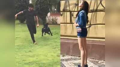 सुशांतसिंह राजपूतच्या कुत्र्याचा नवा व्हिडिओ आला समोर, भाचीने घेतलं दत्तक