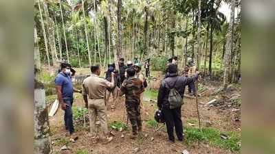 മുള്ളന്‍കൊല്ലിയെ വിറപ്പിച്ച കടുവയെ മയക്കുവെടി വെച്ചു; വനം വകുപ്പ് വാച്ചറേയും ആക്രമിച്ചു