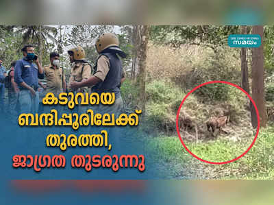 കടുവയെ ബന്ദിപ്പൂരിലേക്ക് തുരത്തി