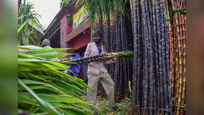 ಸಂಕ್ರಾಂತಿಗೆ ಬೆಂಗಳೂರು ಸಜ್ಜು: ಹೂವು, ಹಣ್ಣಿನ ದರ ದಿಢೀರ್‌ ಏರಿಕೆ! ಇಲ್ಲಿದೆ  ಬೆಲೆವಿವರ