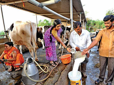 ಫೆಬ್ರವರಿ 1ರಿಂದ ಹಾಲಿನ ಖರೀದಿ ದರ ಹೆಚ್ಚಳ, ರೈತರಿಗೆ ಶುಭ ಸುದ್ದಿ