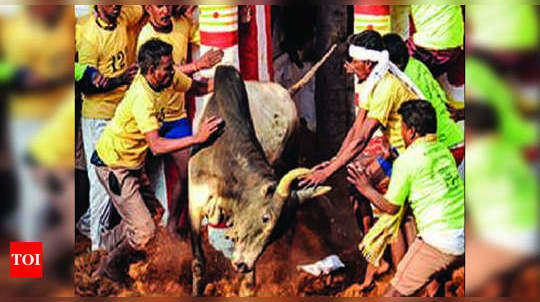 Pongal Jallikattu: மதுரையில மட்டுமில்லங்க... இந்த ஊர்ல எல்லாம் கூட ஜல்லிக்கட்டு நடக்கப் போகுது!