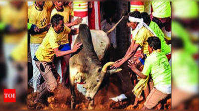 Pongal Jallikattu: மதுரையில மட்டுமில்லங்க... இந்த ஊர்ல எல்லாம் கூட ஜல்லிக்கட்டு நடக்கப் போகுது!