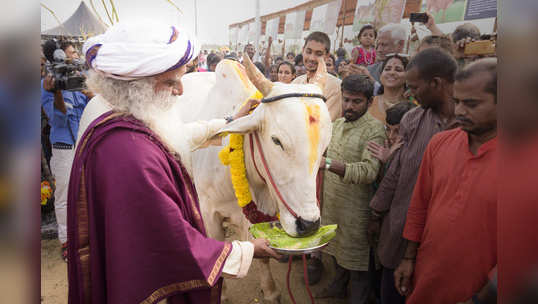 இயற்கை விவசாயத்தில் விளைந்த நெல் பாத்தீங்களா! ஈஷா சத்குரு வாழ்த்து