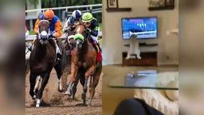 इस डॉगी को देखने के बाद घोड़ों की रेस देखने में मजा नहीं आएगा, देखें Viral Video