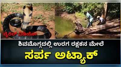 ವೈರಲ್ ವಿಡಿಯೋ: ಶಿವಮೊಗ್ಗದಲ್ಲಿ ಸ್ನೇಕ್ ಪ್ರಭಾಕರ್ ಮೇಲೆ ಕಾಳಿಂಗ ಸರ್ಪ ದಾಳಿ..!