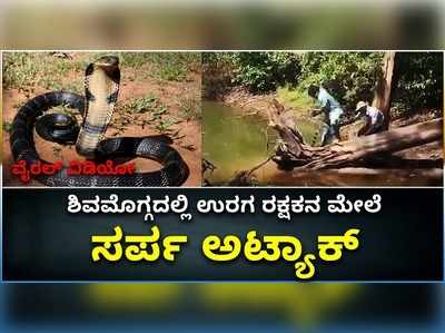 ವೈರಲ್ ವಿಡಿಯೋ: ಶಿವಮೊಗ್ಗದಲ್ಲಿ ಸ್ನೇಕ್ ಪ್ರಭಾಕರ್ ಮೇಲೆ ಕಾಳಿಂಗ ಸರ್ಪ ದಾಳಿ..!