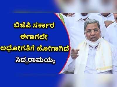 ಸಂಪುಟ ವಿಸ್ತರಣೆ ನಂತರ ಬಿಜೆಪಿ ಸರಕಾರ ಇನ್ನೂ ಅಧೋಗತಿಗೆ ಹೋಗಲಿದೆ: ಸಿದ್ದರಾಮಯ್ಯ