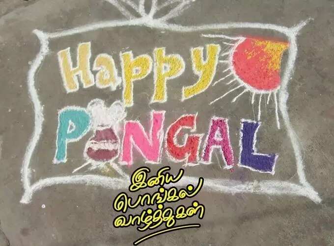 Pongal Wishes