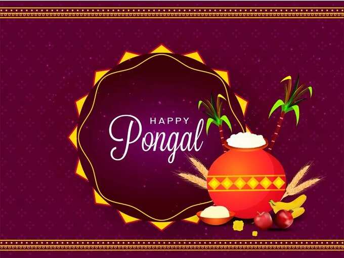 Pongal Wishes