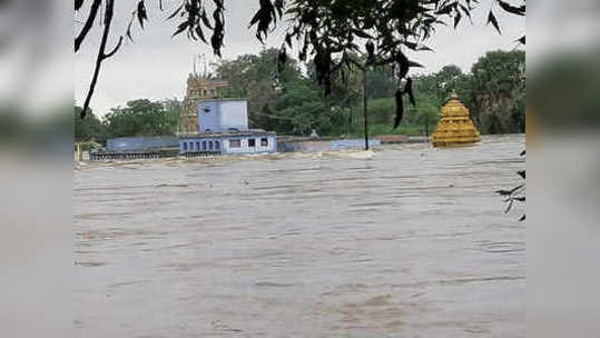 மழையால் இடிந்த வீடுகள்... 300 கோழிகள் உயிரிழப்பு