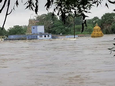 மழையால் இடிந்த வீடுகள்... 300 கோழிகள் உயிரிழப்பு