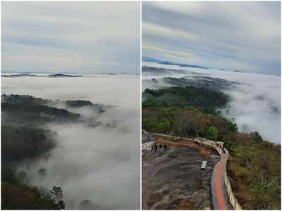 കോടമഞ്ഞ് കാണാൻ കൂരുമലയിലേക്ക് പോന്നോളൂ... എറണാകുളത്തെ മഞ്ഞു താഴ്വര