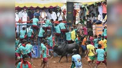 ಗೋ ಬ್ಯಾಕ್ ರಾಹುಲ್.. ವೆಲ್‌ ಕಂ ನಡ್ಡಾ ಜೀ..! ರಾಜಕೀಯ ಅಖಾಡವಾಯ್ತು ಜಲ್ಲಿಕಟ್ಟು ರಣಾಂಗಣ..!