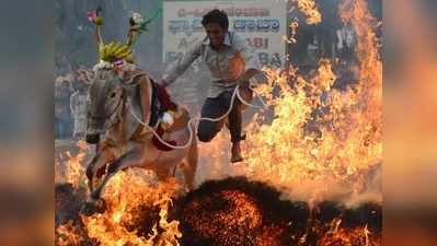 ನಾಡಿನೆಲ್ಲೆಡೆ ಸಡಗರದ ಸಂಕ್ರಾಂತಿ: ಪುಣ್ಯ ಸ್ನಾನ ಮಾಡಿ ದೇವರ ದರ್ಶನ ಪಡೆದ ಭಕ್ತರು