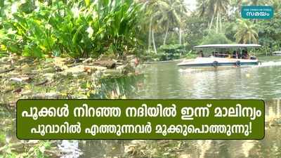 പൂക്കൾ നിറഞ്ഞ നദിയിൽ ഇന്ന് മാലിന്യം, പൂവാറിൽ എത്തുന്നവർ മൂക്കുപൊത്തുന്നു!