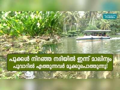 പൂക്കൾ നിറഞ്ഞ നദിയിൽ ഇന്ന് മാലിന്യം, പൂവാറിൽ എത്തുന്നവർ മൂക്കുപൊത്തുന്നു!