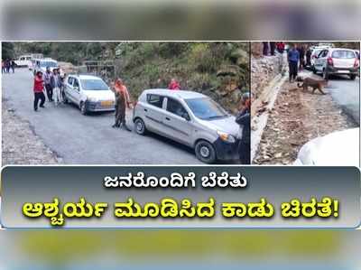 ವಿಡಿಯೋ: ಜನರೊಂದಿಗೆ ಬೆರೆತು ಆಶ್ಚರ್ಯ ಮೂಡಿಸಿದ ಕಾಡು ಚಿರತೆ!