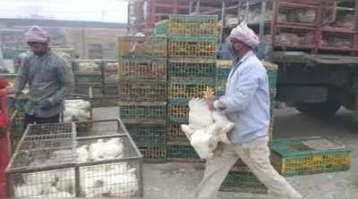 अब गाजीपुर मंडी में धड़ाधड़ बिकने शुरू हुए मुर्गे, थोक खरीदारों का लगा तांता