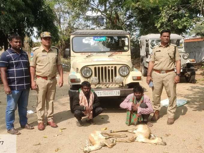 అటవీ శాఖాధికారుల అదుపులో నిందితులు