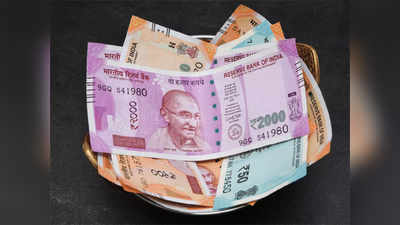 Money Making Tips: महज 50 हजार रुपये में शुरू करें ये बिजनस, हर महीने कमाएं 40 हजार रुपये तक